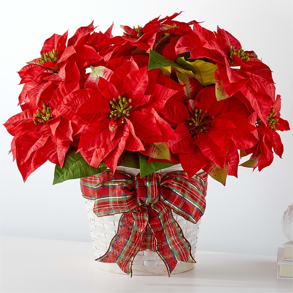 Happiest Holidays Poinsettia – All About Flowers, Bellingham WA
