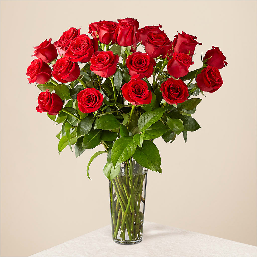 Long Stem Red Rose Bouquet – All About Flowers, Bellingham WA