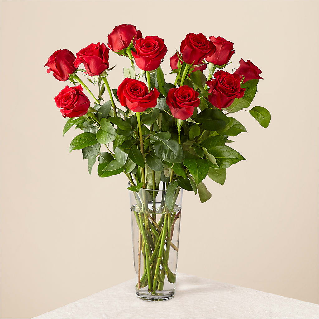 Long Stem Red Rose Bouquet – All About Flowers, Bellingham WA
