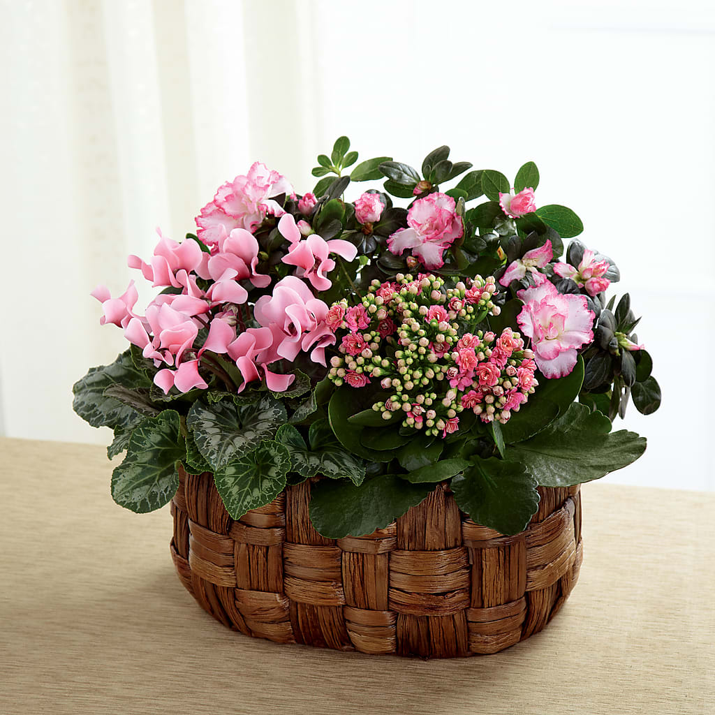 Pink Assortment – All About Flowers, Bellingham WA
