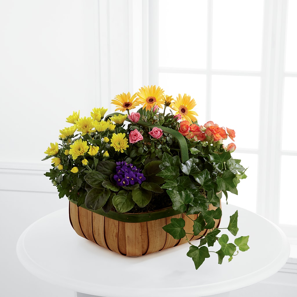 Gentle Blossoms Basket – All About Flowers, Bellingham WA