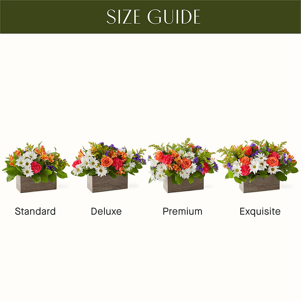 Oopsie Daisy Box Bouquet – All About Flowers, Bellingham WA