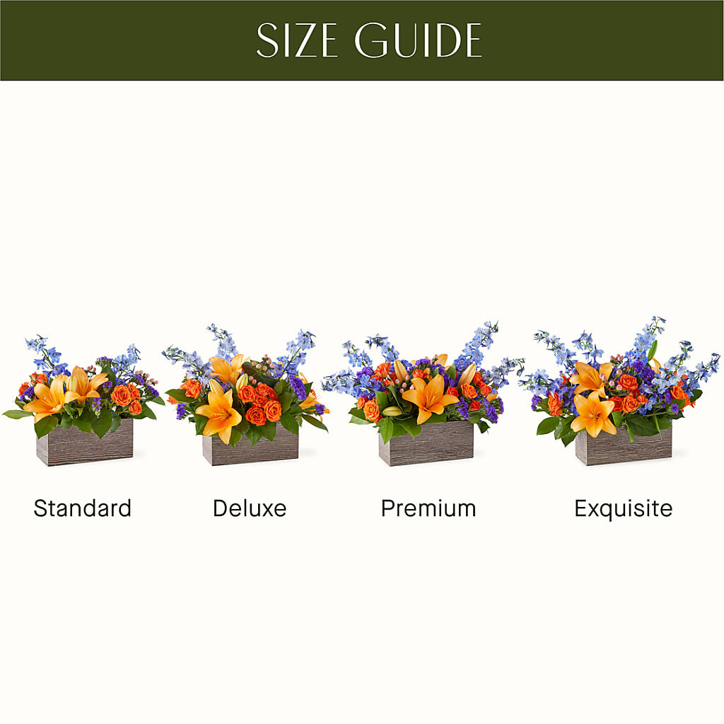 Radiant Citrus Box Bouquet – All About Flowers, Bellingham WA