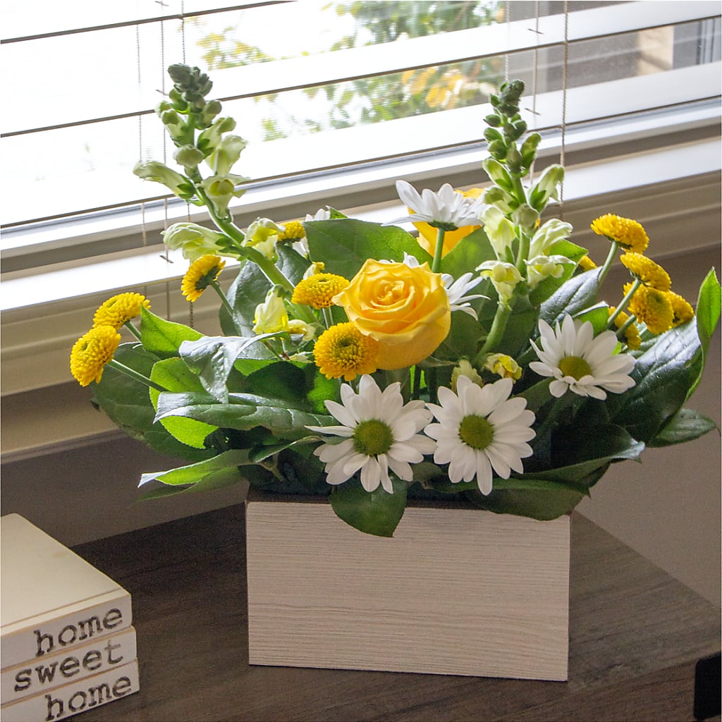 Sun Salutation Box Bouquet – All About Flowers, Bellingham WA