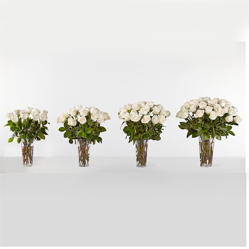 Long Stem White Rose Bouquet – All About Flowers, Bellingham WA