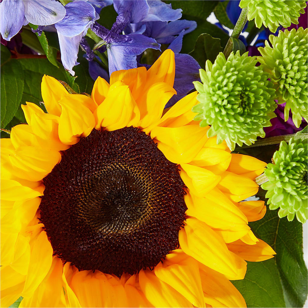 Catching Rays Bouquet – All About Flowers, Bellingham WA