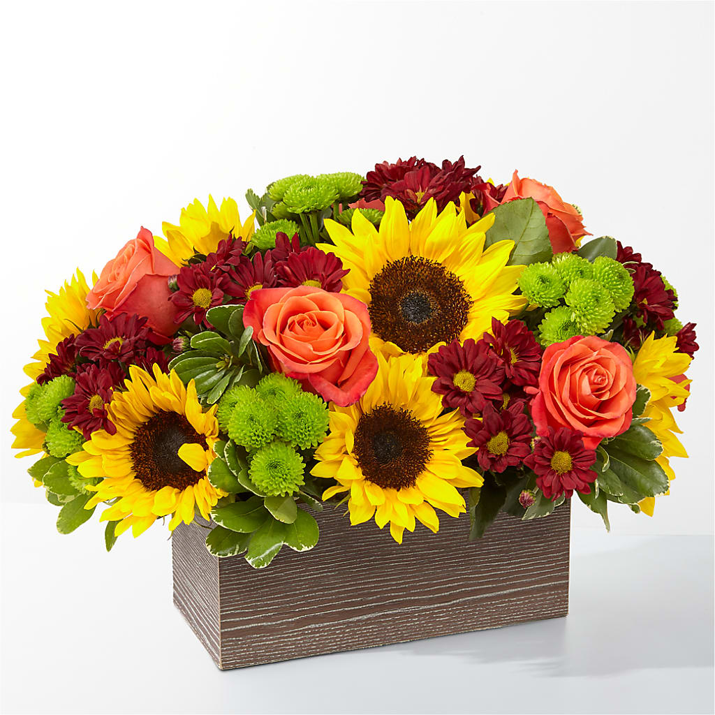 Happy Harvest Garden – All About Flowers, Bellingham WA