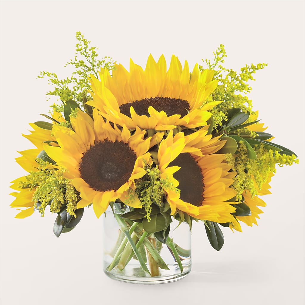 Beaming Sunflower Bouquet – All About Flowers, Bellingham WA