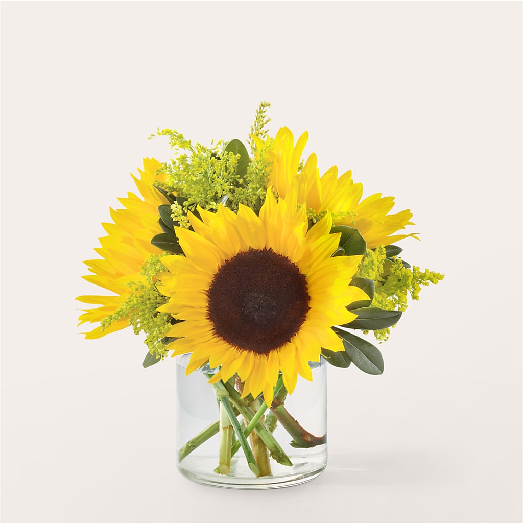 Beaming Sunflower Bouquet – All About Flowers, Bellingham WA