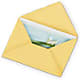 Greeting Card – All About Flowers, Bellingham WA