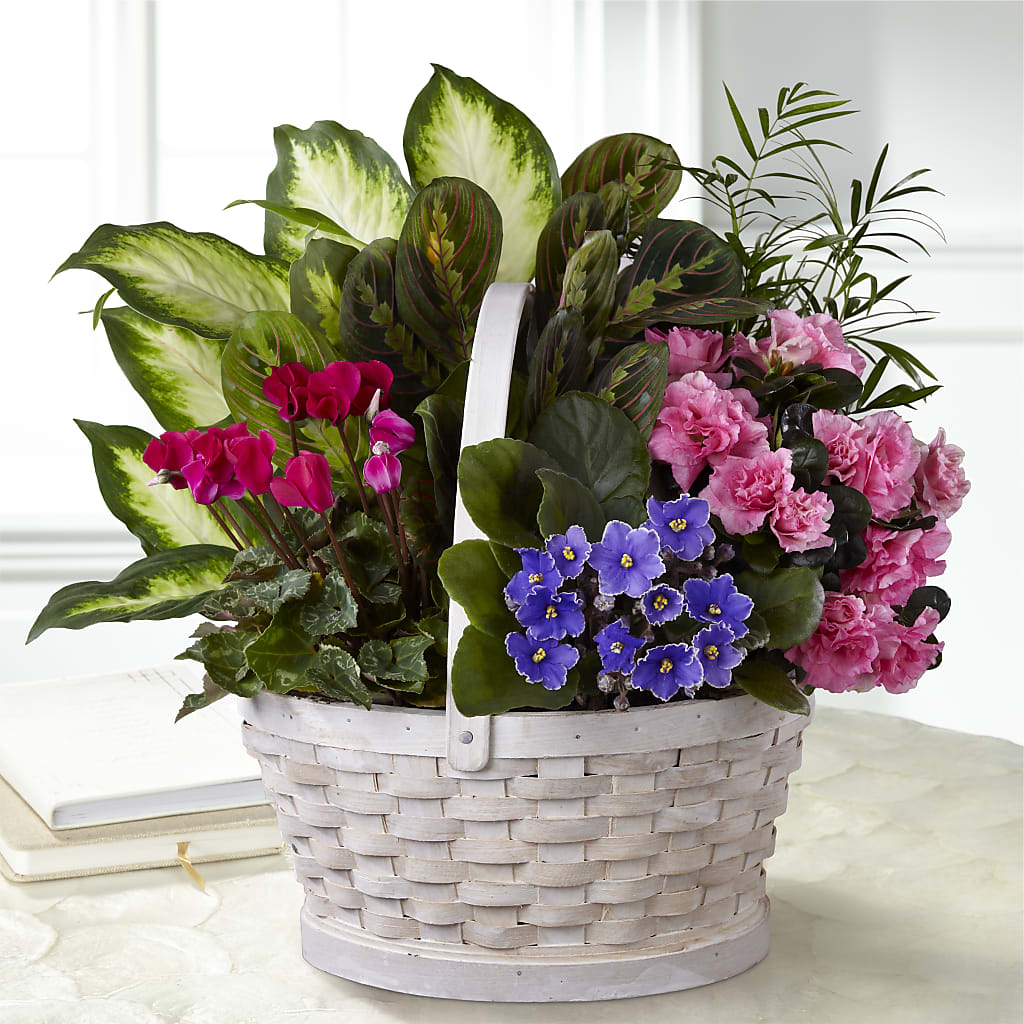 Peaceful Garden Planter – All About Flowers, Bellingham WA