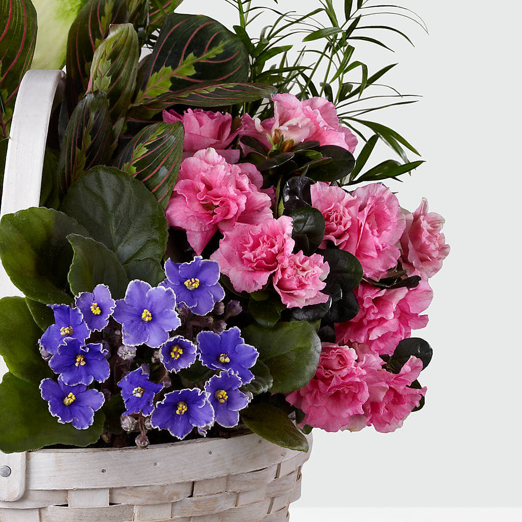 Peaceful Garden Planter – All About Flowers, Bellingham WA