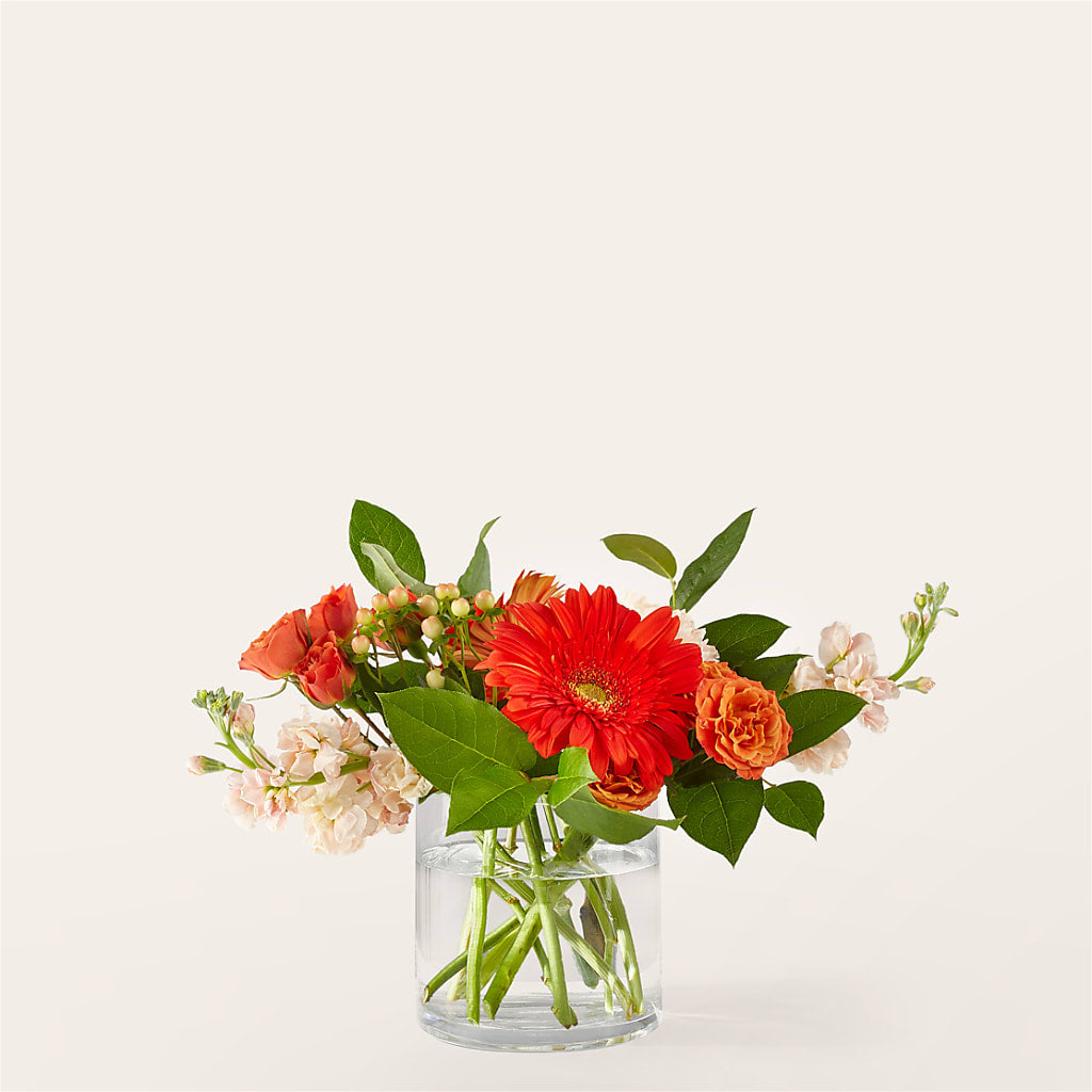 Paloma Please Bouquet – All About Flowers, Bellingham WA