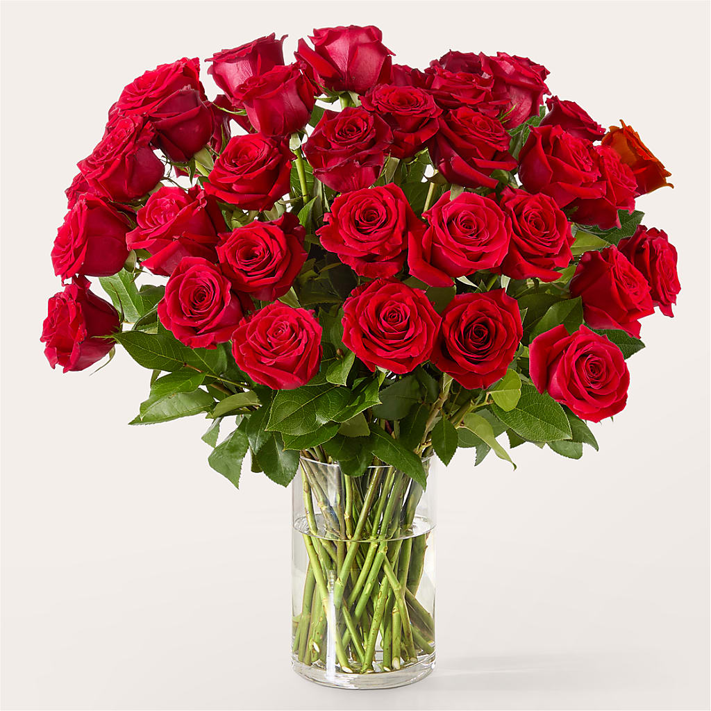 The One Red Rose Bouquet – All About Flowers, Bellingham WA