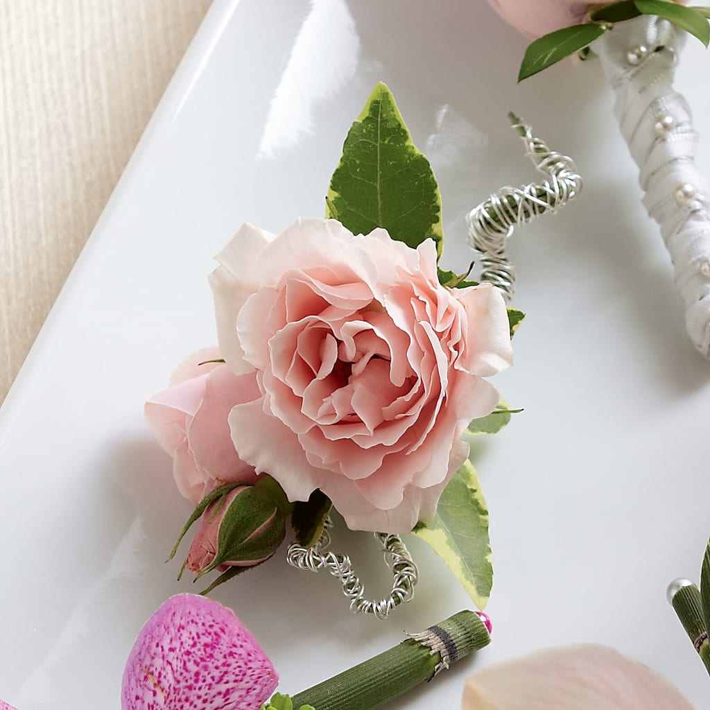 Pink Spray Rose Boutonniere – All About Flowers, Bellingham WA