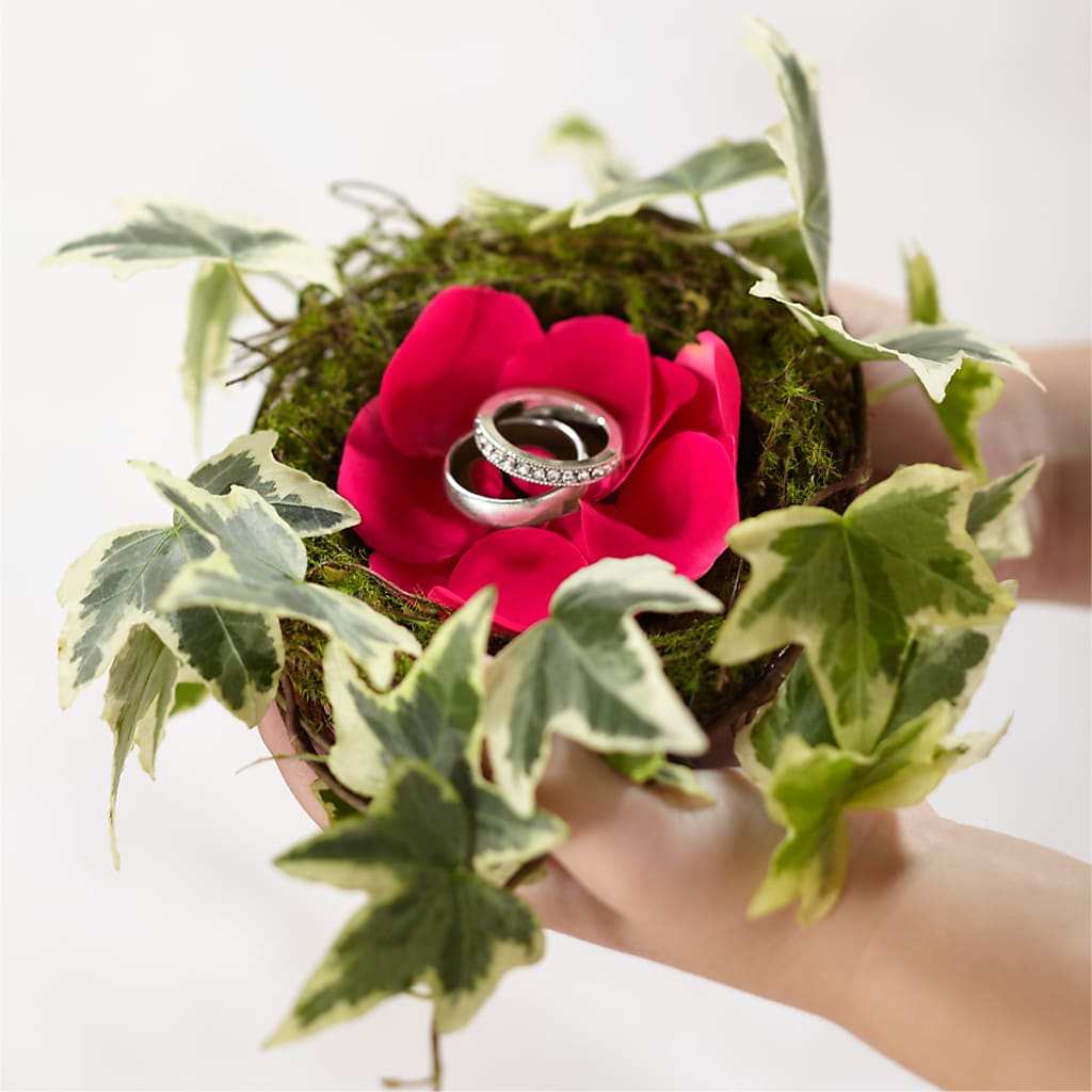 Lila Rose Ring Nest – All About Flowers, Bellingham WA