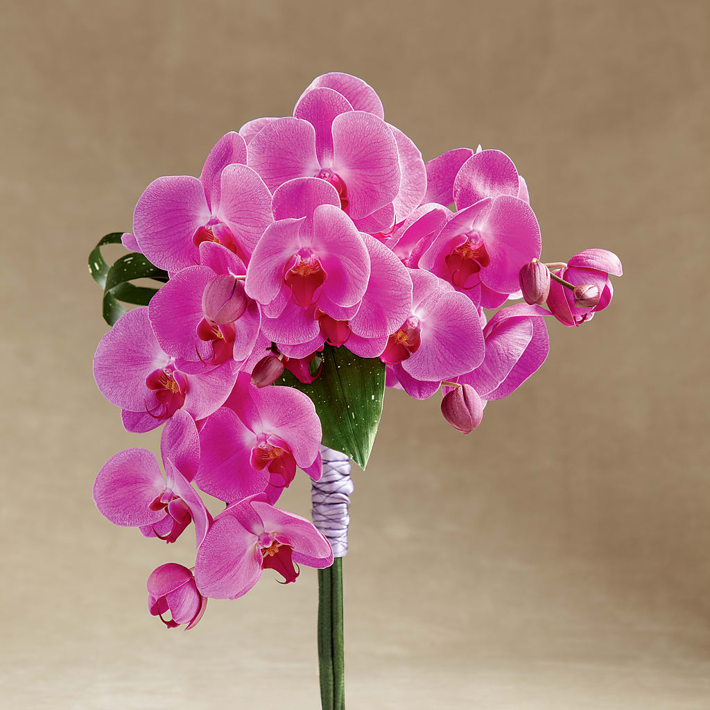 Glorious Bouquet – All About Flowers, Bellingham WA