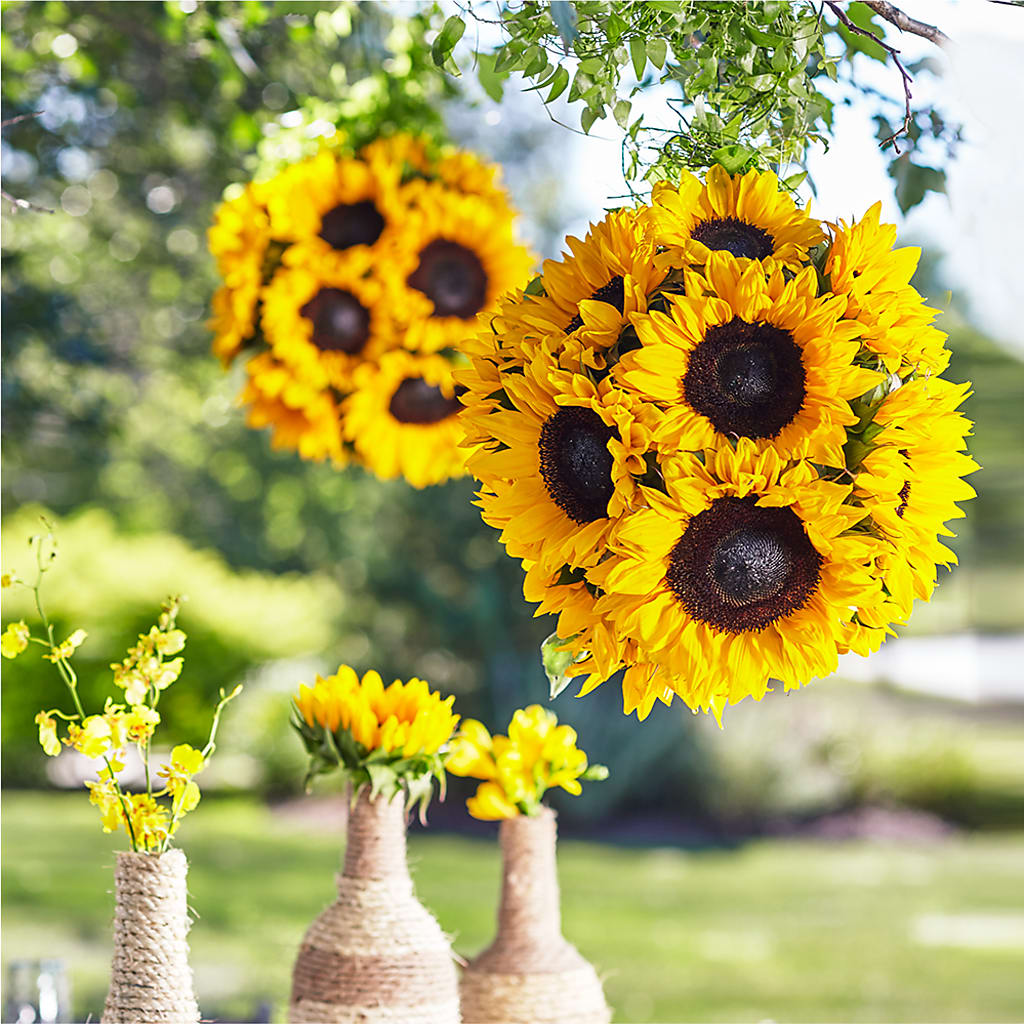 Sublime Garden Hanging Arrangement – All About Flowers, Bellingham WA