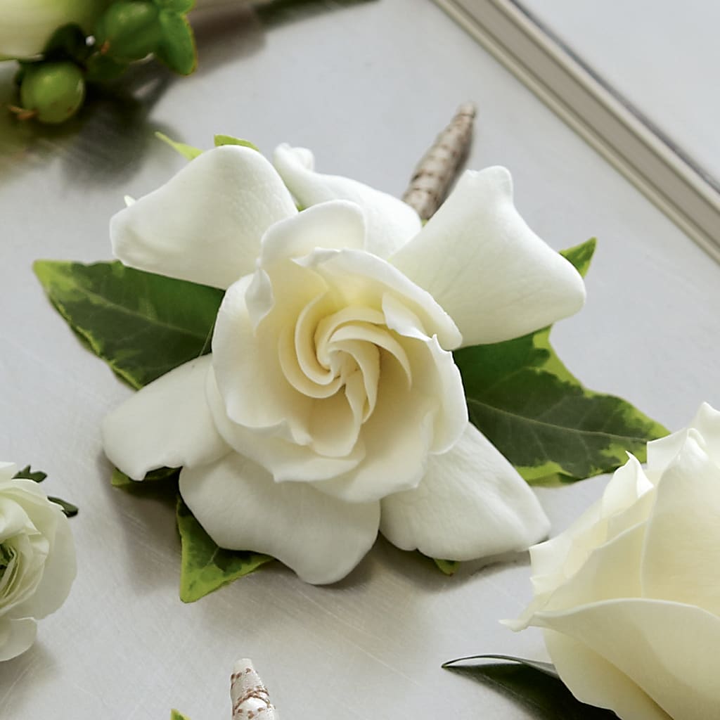 Gardenia Boutonniere – All About Flowers, Bellingham WA