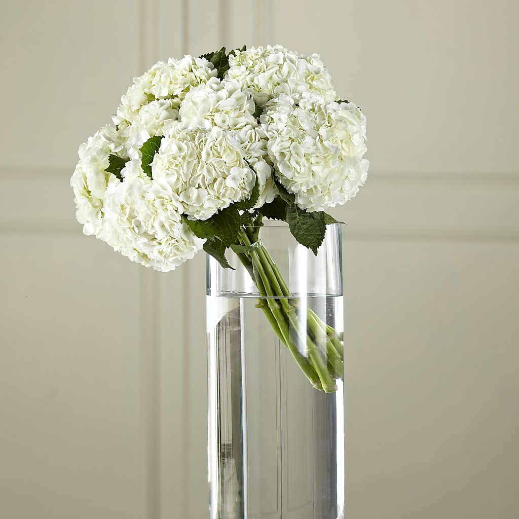 White Hydrangea Hand-Tied Bouquet – All About Flowers, Bellingham WA
