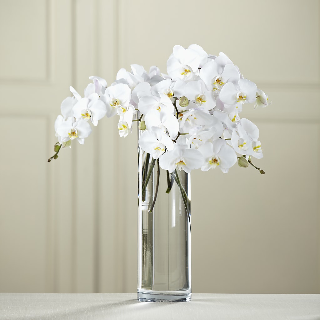 White Phalaenopsis Bouquet – All About Flowers, Bellingham WA