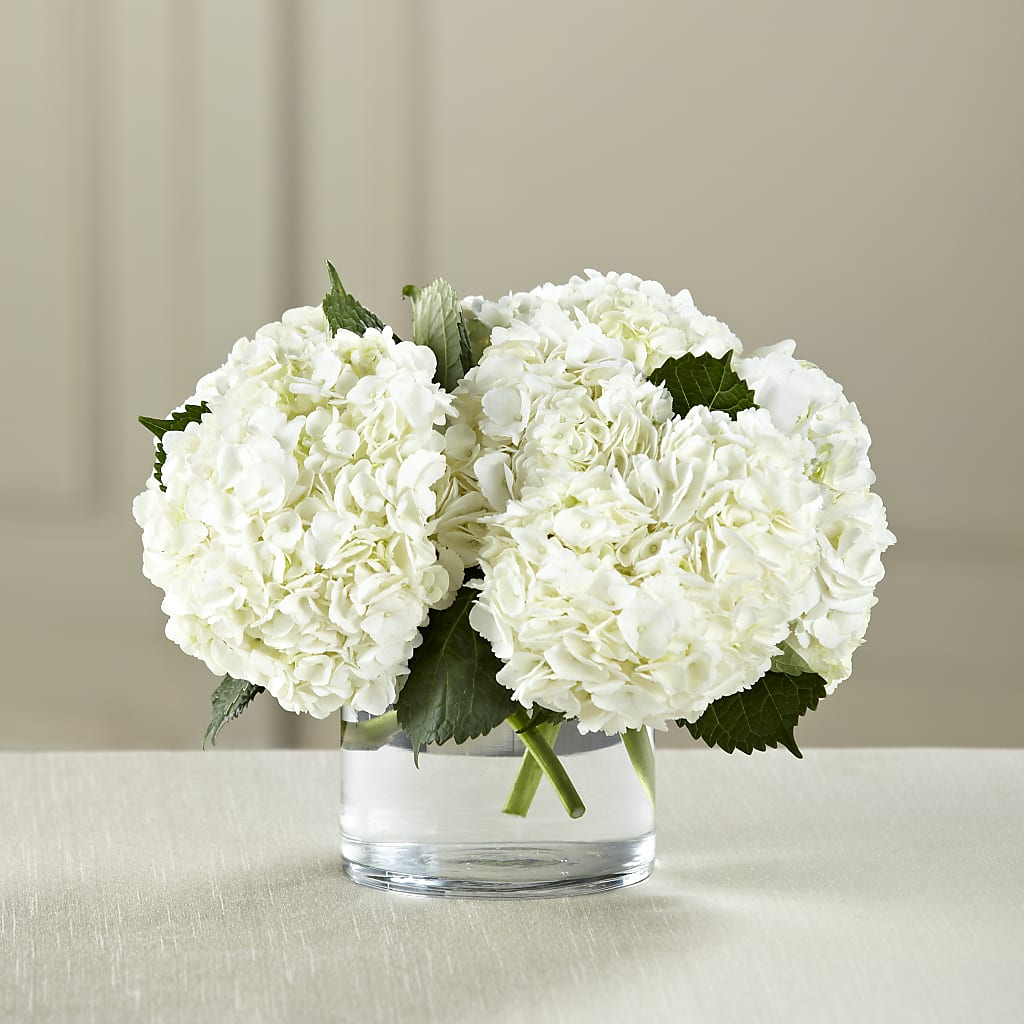 White Hydrangea Bouquet – All About Flowers, Bellingham WA