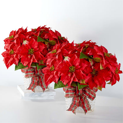 Happiest Holidays Poinsettia Bundle –  All About Flowers, Bellingham WA