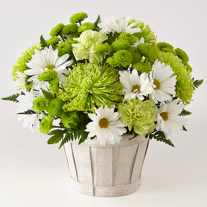 Lucky Charm Basket (Standard) –  All About Flowers, Bellingham WA
