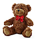 Adorable Plush Bear –  All About Flowers, Bellingham WA