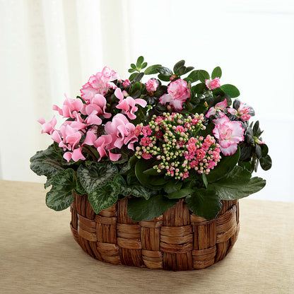 Pink Assortment –  All About Flowers, Bellingham WA