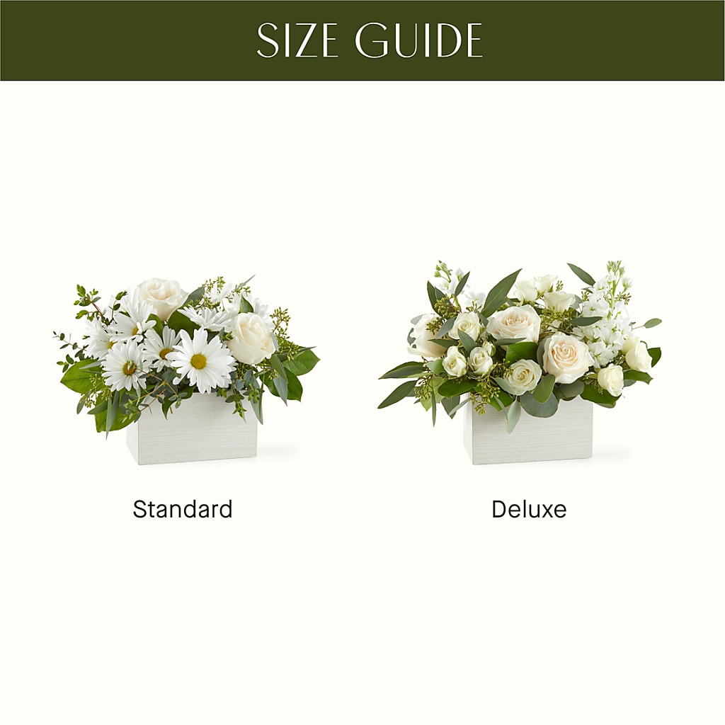 Fresh Linen Box Bouquet –  All About Flowers, Bellingham WA