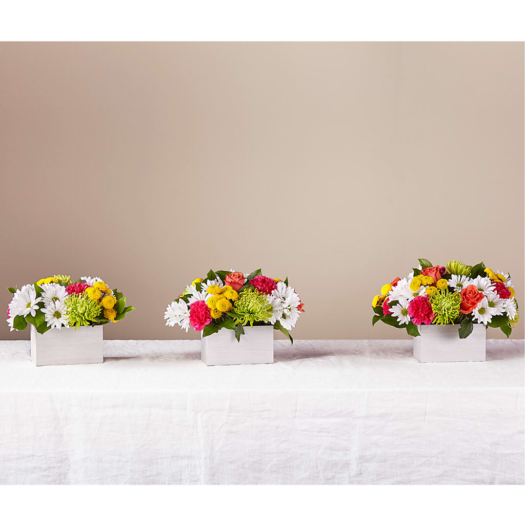 Sorbet Bouquet –  All About Flowers, Bellingham WA