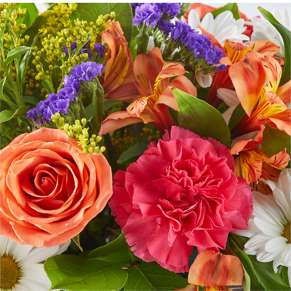 Oopsie Daisy Box Bouquet –  All About Flowers, Bellingham WA