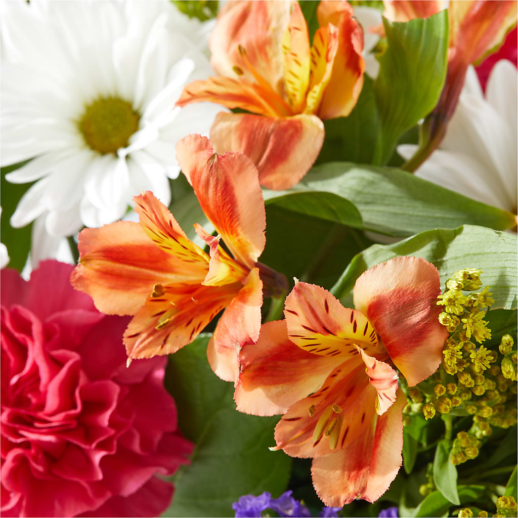 Oopsie Daisy Box Bouquet –  All About Flowers, Bellingham WA