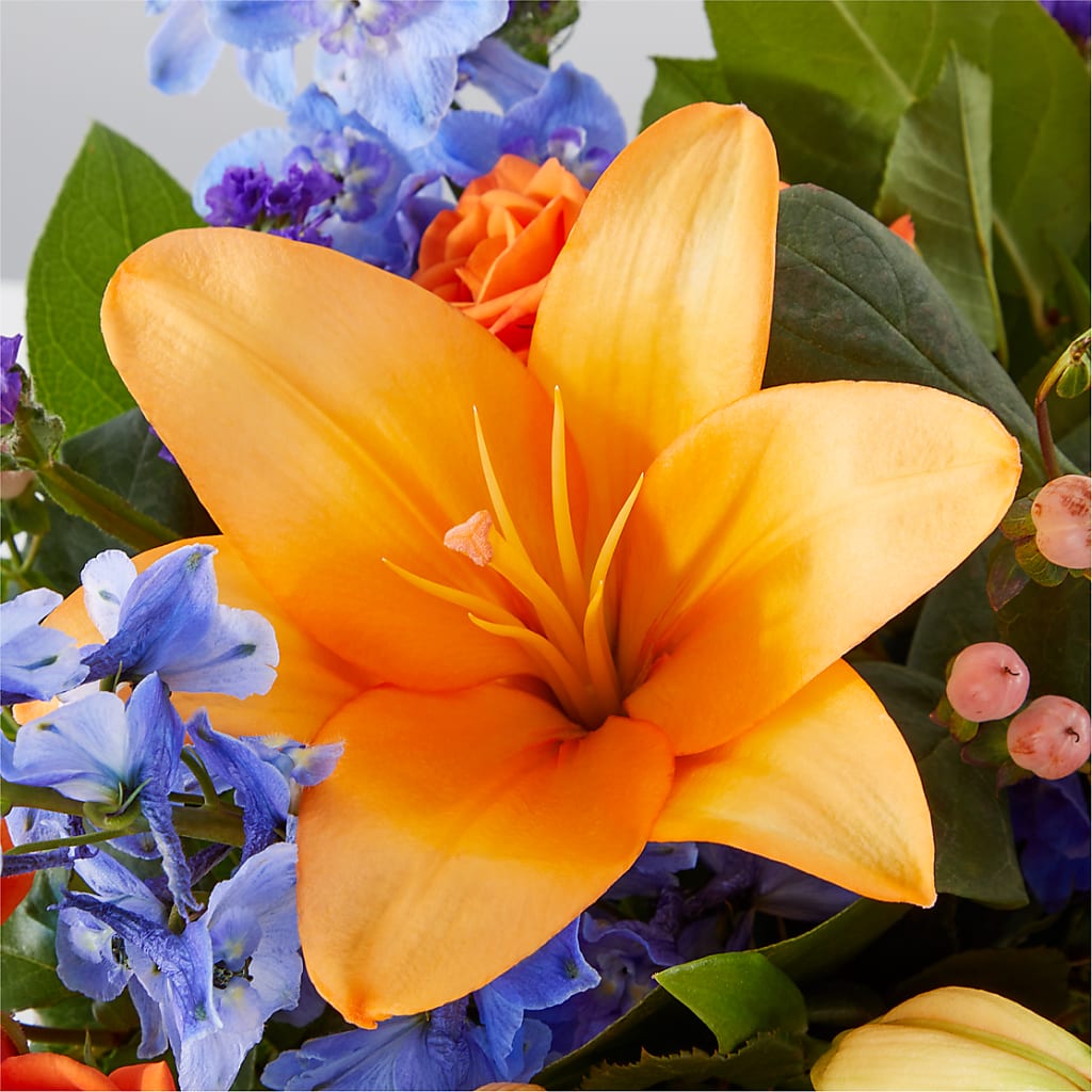 Radiant Citrus Box Bouquet –  All About Flowers, Bellingham WA