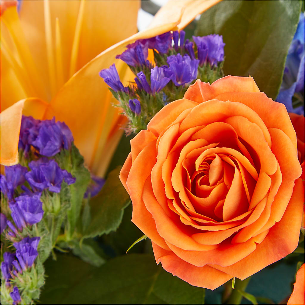 Radiant Citrus Box Bouquet –  All About Flowers, Bellingham WA