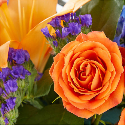 Radiant Citrus Box Bouquet –  All About Flowers, Bellingham WA