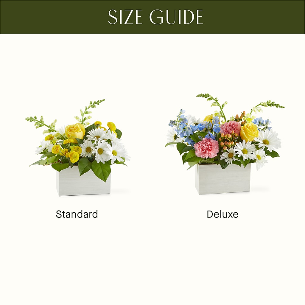 Sun Salutation Box Bouquet –  All About Flowers, Bellingham WA