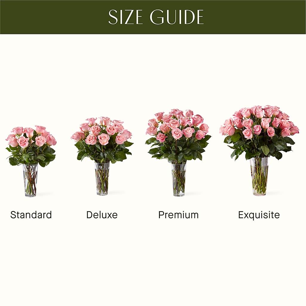 Long Stem Pink Rose Bouquet –  All About Flowers, Bellingham WA