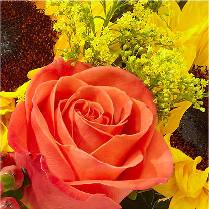 Pick of the Patch Pumpkin Bouquet –  All About Flowers, Bellingham WA
