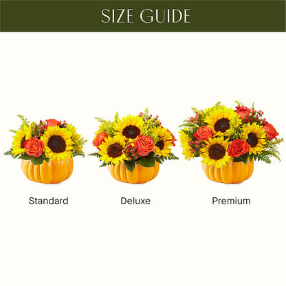 Pick of the Patch Pumpkin Bouquet –  All About Flowers, Bellingham WA