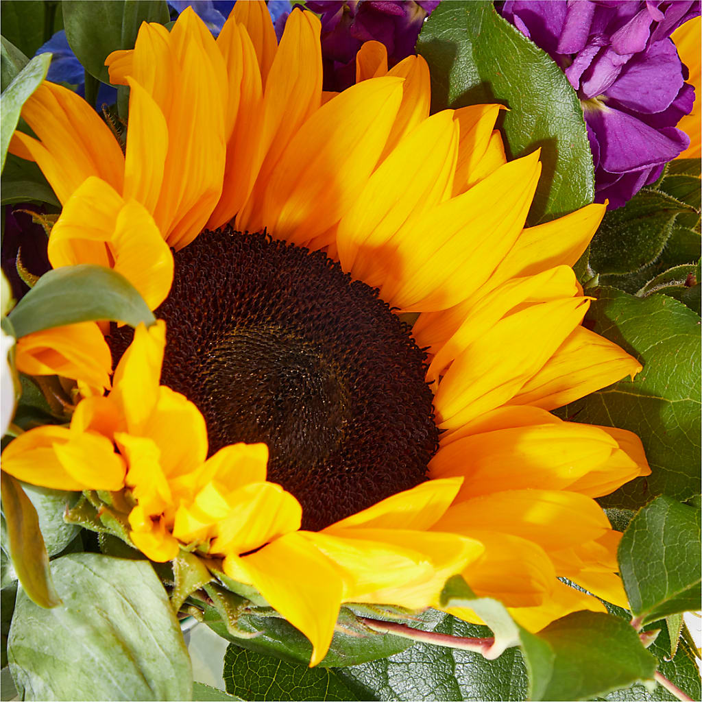 Catching Rays Bouquet –  All About Flowers, Bellingham WA