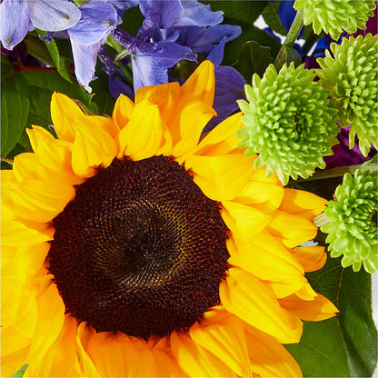 Catching Rays Bouquet –  All About Flowers, Bellingham WA