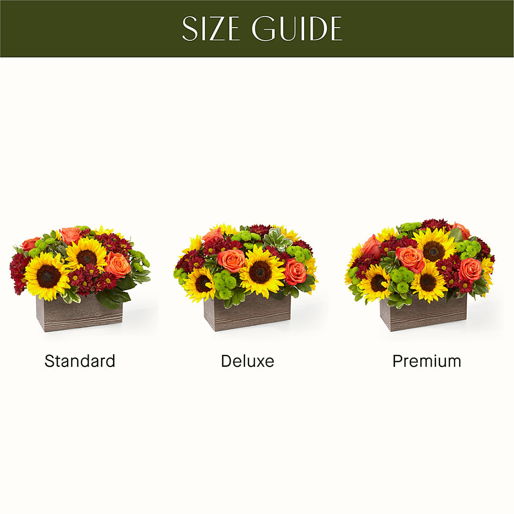 Happy Harvest Garden –  All About Flowers, Bellingham WA