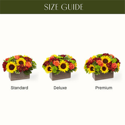 Happy Harvest Garden –  All About Flowers, Bellingham WA
