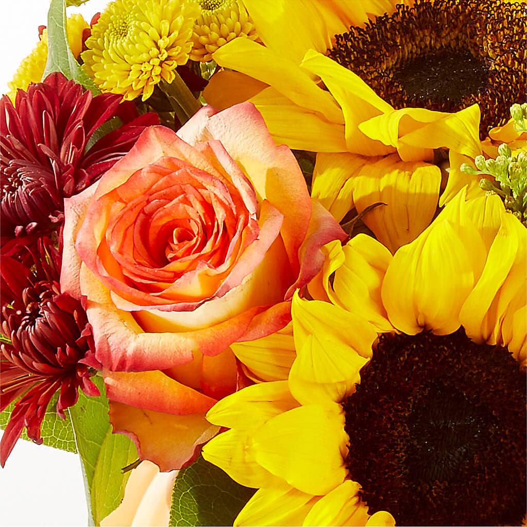 Golden Gourd Pumpkin Bouquet –  All About Flowers, Bellingham WA