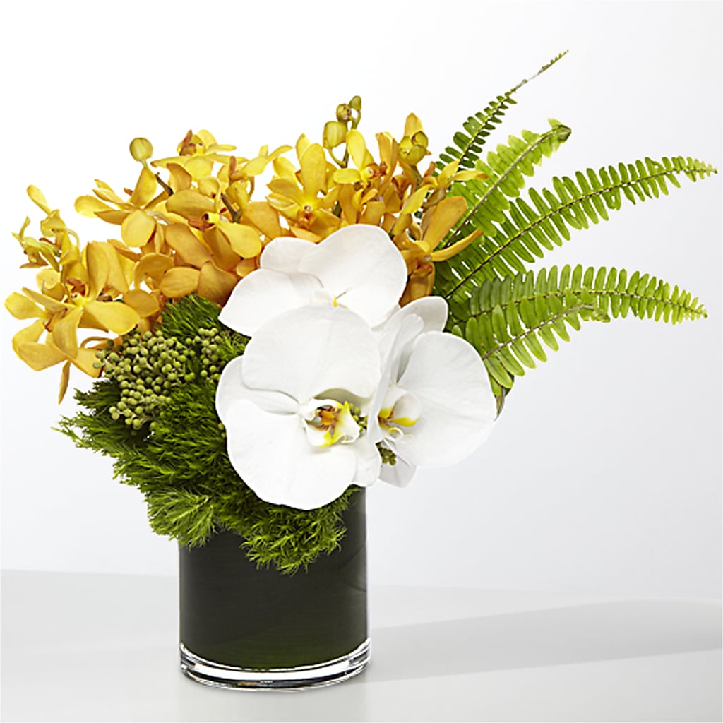 The Tropics –  All About Flowers, Bellingham WA