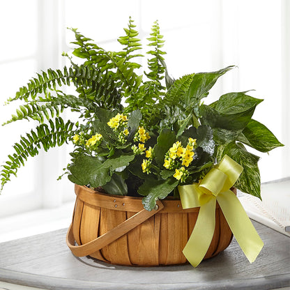 Always Dear Dishgarden –  All About Flowers, Bellingham WA