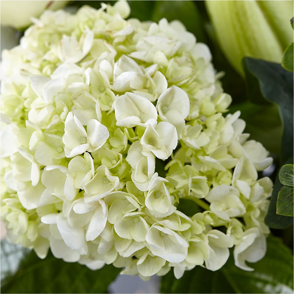 Classic Ivory – A Florist Original –  All About Flowers, Bellingham WA