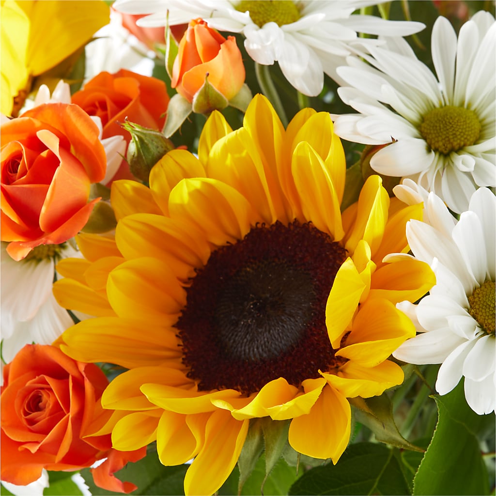 Sun-drenched Blooms Bouquet –  All About Flowers, Bellingham WA